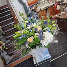 Thistle down the wind